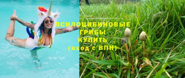 бутират Арсеньев